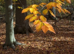 Fall 2005